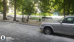 Сезон тополиного пуха начался в Челябинске