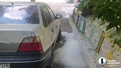 Сезон тополиного пуха начался в Челябинске