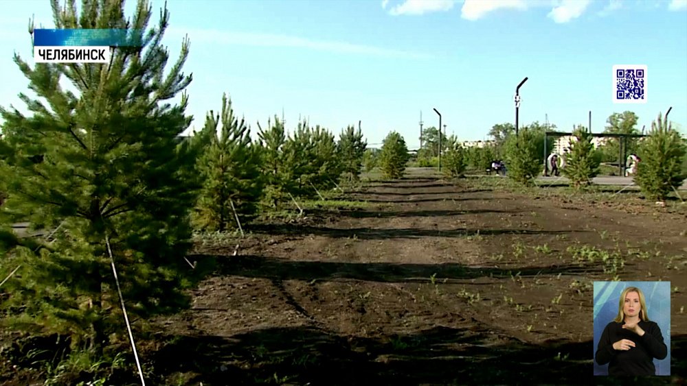 Челябинский парк благоустраивают