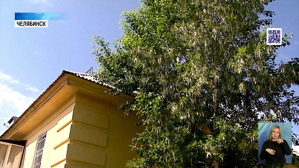 Как аллергику пережить сезон цветения?