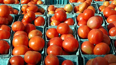 В Челябинской области выросло производство тепличных овощей на 15%