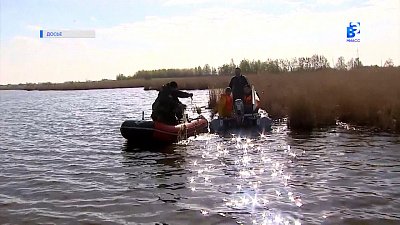 В регионе завершился нерест