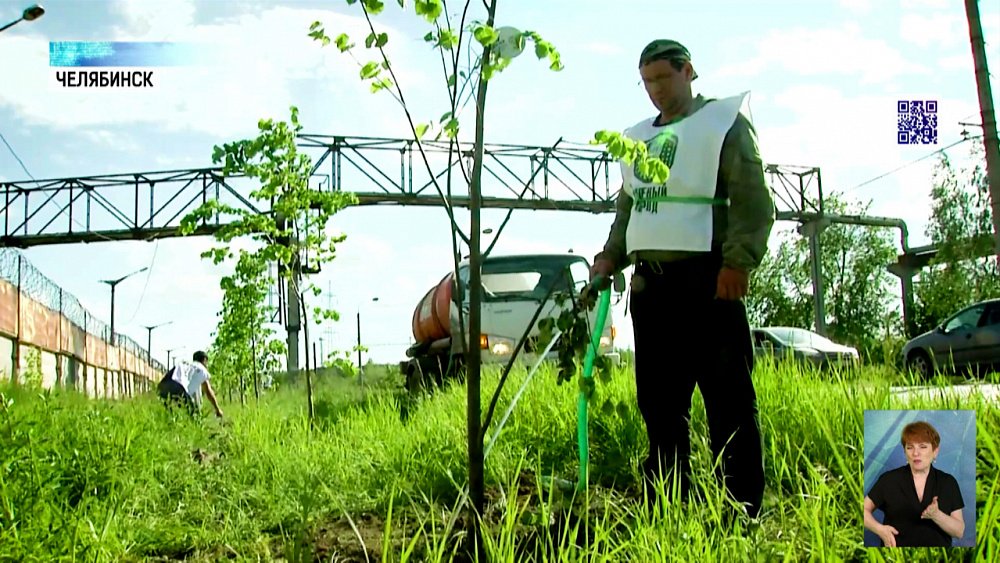ЧМК укрепил зеленый щит предприятия