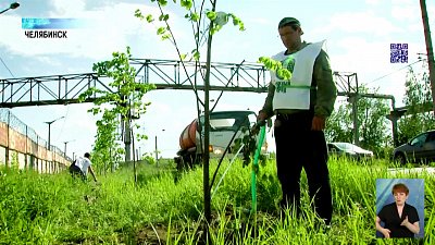 ЧМК укрепил зеленый щит предприятия