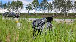 В Челябинской области появится виртуальная «доска позора» для экохамов