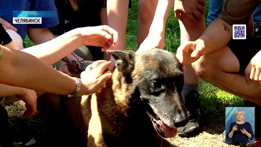 Дети центра «Гнездышко» встретились с кинологами