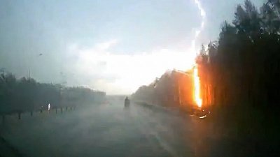 Удар молнии спалил дерево на трассе М-5