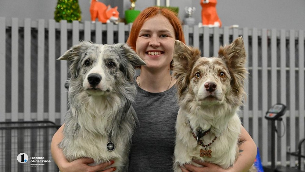 Кинолог Дарья Усачева: «Собаки — гораздо лучшие дрессировщики, чем люди»