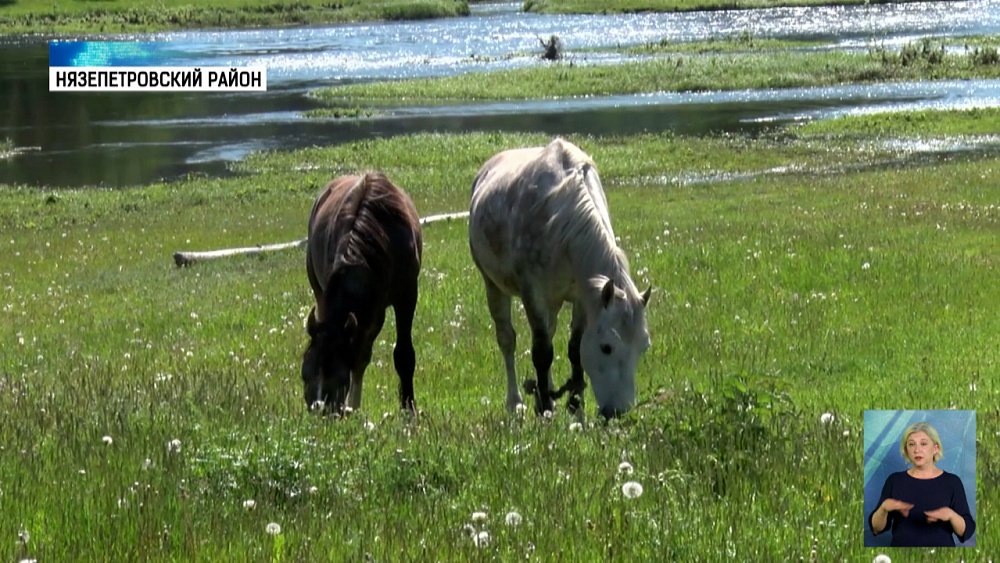 Житель Нязепетровска оформил соцконтракт