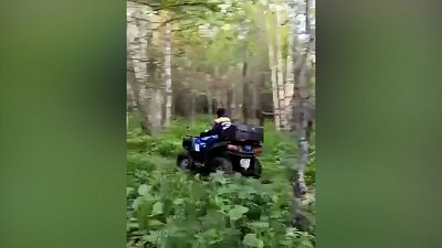 В Миассе потерялся в лесу очередной грибник 