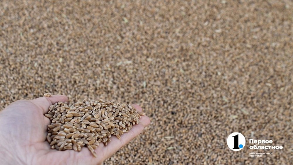 В Челябинской области 20 фермеров получили субсидии на развитие сельского хозяйства