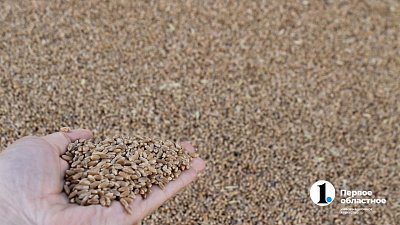 В Челябинской области 20 фермеров получили субсидии на развитие сельского хозяйства