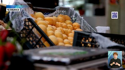 Откуда привозят фрукты на Южный Урал?