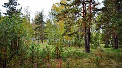 Велопрогулки в Челябинске: карты маршрутов для активного отдыха