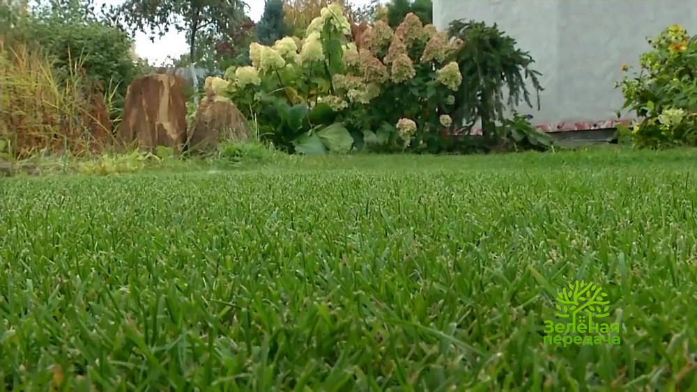 Зеленая передача 23.06.2022