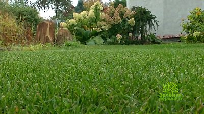 Зеленая передача 23.06.2022