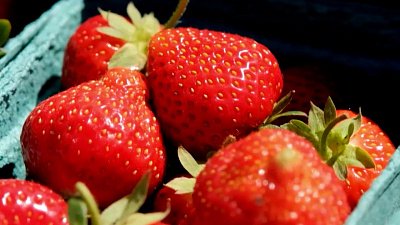 Какие фрукты и ягоды покупают жители Челябинской области?