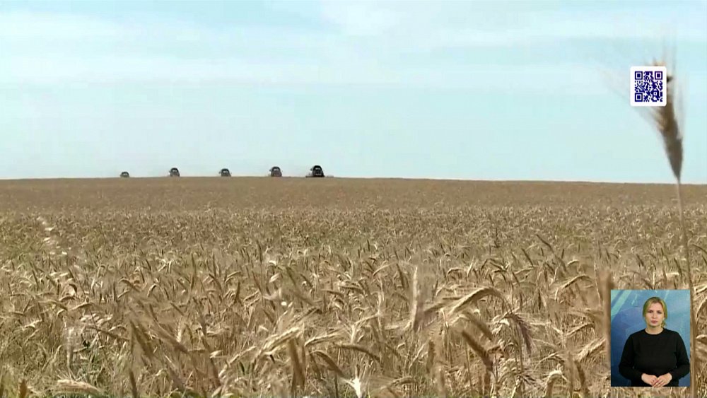 Сельхозпредприятиям снижают налоговую нагрузку