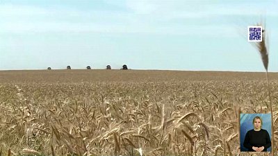 Сельхозпредприятиям снижают налоговую нагрузку