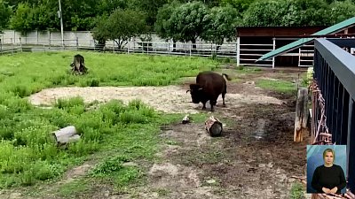 Жители зоопарка — сторонники правильного питания