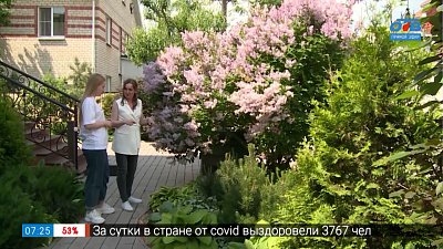 Красивый сад без особых хлопот в сюжете «Сад несложного ухода»