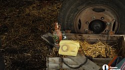 Сыр как во Франции, медовуха как в Суздале: гастротур в Миасс (день первый)