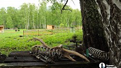 Сыр как во Франции, медовуха как в Суздале: гастротур в Миасс (день первый)