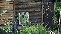 Сыр как во Франции, медовуха как в Суздале: гастротур в Миасс (день первый)