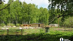 Сыр как во Франции, медовуха как в Суздале: гастротур в Миасс (день первый)