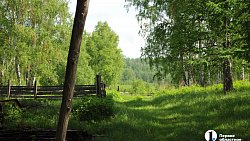 Сыр как во Франции, медовуха как в Суздале: гастротур в Миасс (день первый)