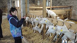 Сыр как во Франции, медовуха как в Суздале: гастротур в Миасс (день первый)