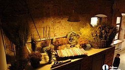 Сыр как во Франции, медовуха как в Суздале: гастротур в Миасс (день первый)