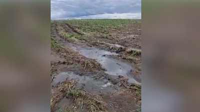 «Ариант» прокомментировал жалобы жителей на слив фекалий в озеро Челябинской области