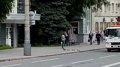 Утиное семейство попало в объектив камеры в Челябинске