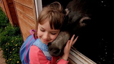 Почему дети не перенимают черты характера своих родителей?