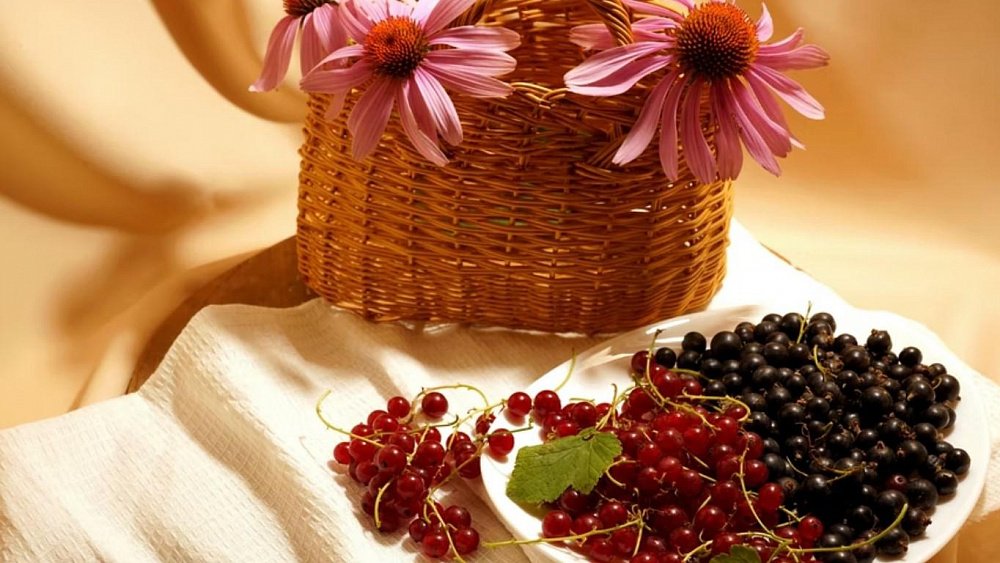 Оздоровить почки можно смородиной