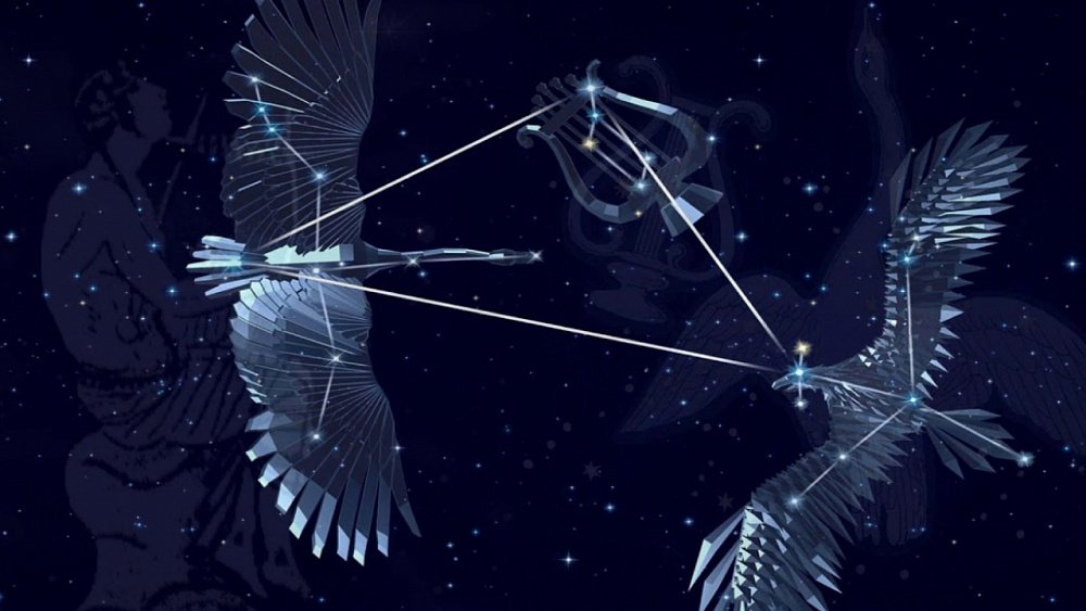 Какие звезды и созвездия можно увидеть на ночном небе этим летом