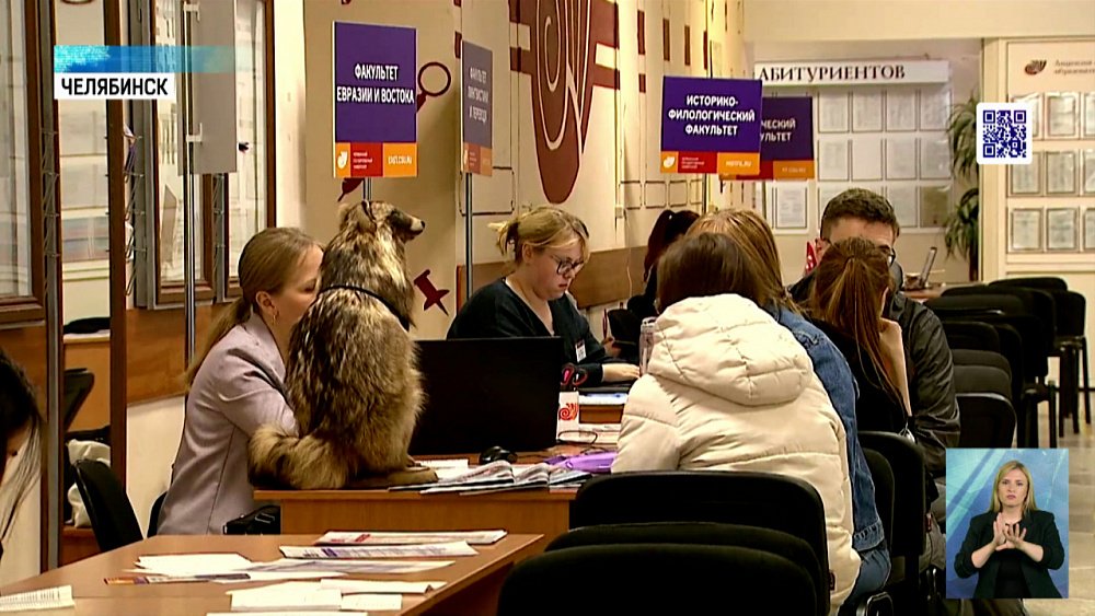 Сколько стоит обучение в вузах?