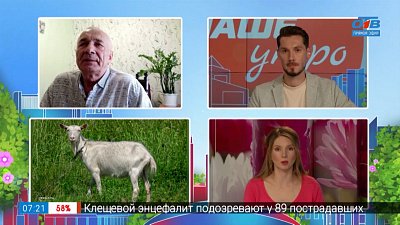 Куры и кролики на даче — Гость на связи