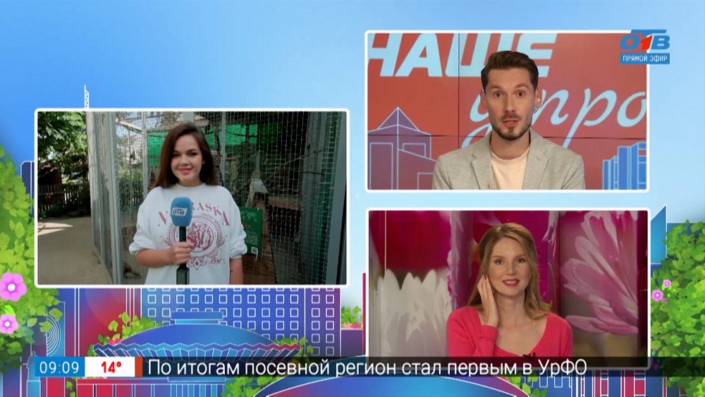 Откуда взялся ушастый фазан — Прямое включение из Челябинского зоопарка