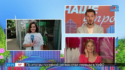 Откуда взялся ушастый фазан — Прямое включение из Челябинского зоопарка