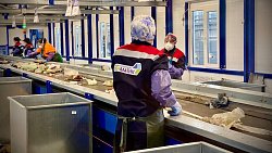 Свалка в Магнитогорске перестает принимать отходы с 1 июля