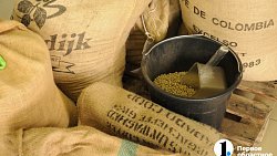 Горный сидр и мороженое с огородной мятой: гастротур в Миасс (день второй)