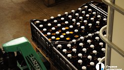 Горный сидр и мороженое с огородной мятой: гастротур в Миасс (день второй)