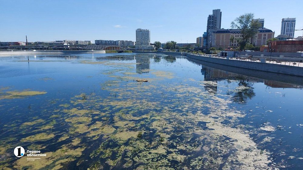 Реку Миасс в Челябинске начнут очищать от тины и мусора в начале июля