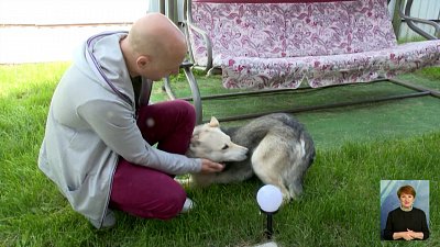 2 июля — неофициальный Международный день собак