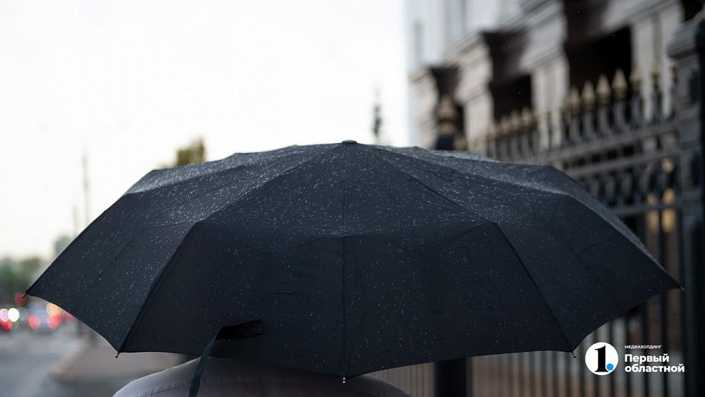 Дожди, грозы и град прогнозируют в Челябинской области