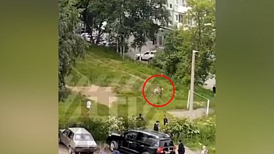 Бегающий по Златоусту олень попал на видео