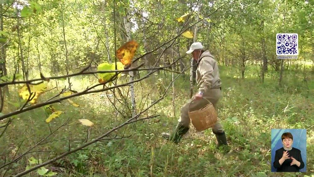 Как не потеряться в лесу?