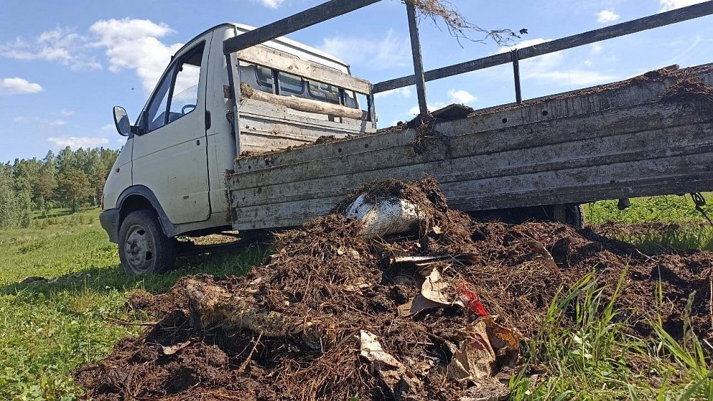 Жителя Миасса оштрафуют за сброс навоза и отходов на пустыре